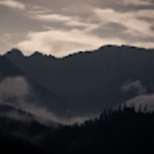 Meet your Posher, Tia